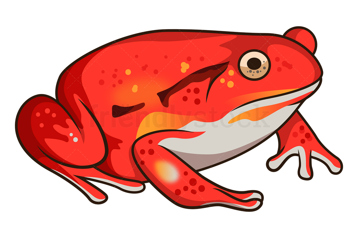 Ilustración vectorial de imágenes prediseñadas de rana de tomate de dibujos  animados - FriendlyStock