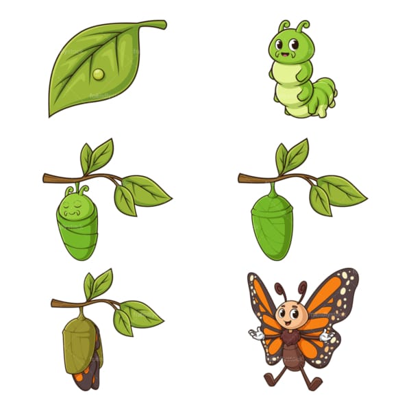 Caterpillar to butterfly metamorphosis. PNG - JPG and vector EPS file formats (infinitely scalable).