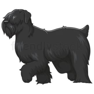 Cartoon black russian terrier walking. PNG - JPG and vector EPS (infinitely scalable).