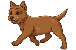 Cartoon cairn terrier walking. PNG - JPG and vector EPS (infinitely scalable).