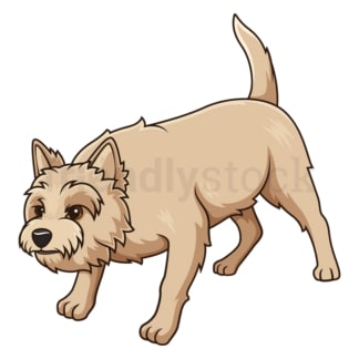 Cartoon cairn terrier sniffing. PNG - JPG and vector EPS (infinitely scalable).