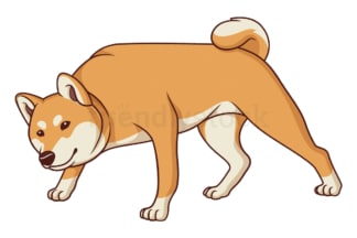 Cartoon shiba inu sniffing. PNG - JPG and vector EPS (infinitely scalable).