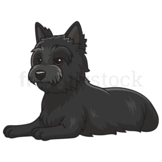 Cartoon cairn terrier lying down. PNG - JPG and vector EPS (infinitely scalable).