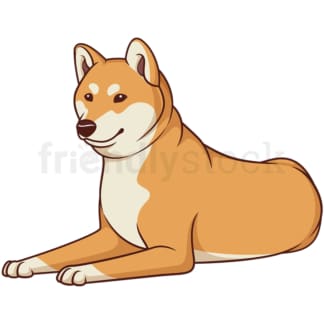 Cartoon shiba inu lying down. PNG - JPG and vector EPS (infinitely scalable).
