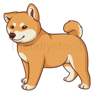 Shiba inu puppy. PNG - JPG and vector EPS (infinitely scalable).