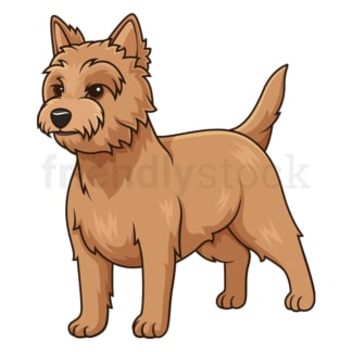 Cartoon gorgeous cairn terrier. PNG - JPG and vector EPS (infinitely scalable).