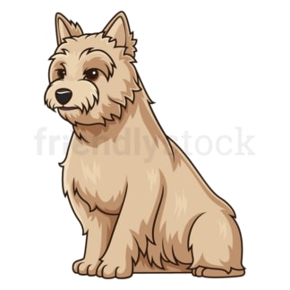 Obedient cairn terrier sitting. PNG - JPG and vector EPS (infinitely scalable).