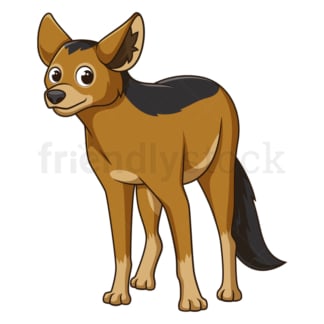 Cartoon jackal safari animal. PNG - JPG and vector EPS file formats (infinitely scalable). Image isolated on transparent background.