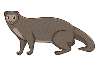 Cartoon mongoose safari animal. PNG - JPG and vector EPS file formats (infinitely scalable). Image isolated on transparent background.