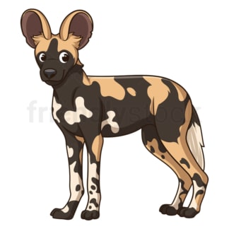 Cartoon wild dog safari animal. PNG - JPG and vector EPS file formats (infinitely scalable). Image isolated on transparent background.