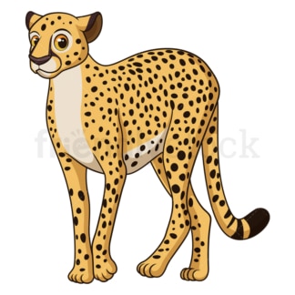 Cartoon cheetah safari animal. PNG - JPG and vector EPS file formats (infinitely scalable). Image isolated on transparent background.