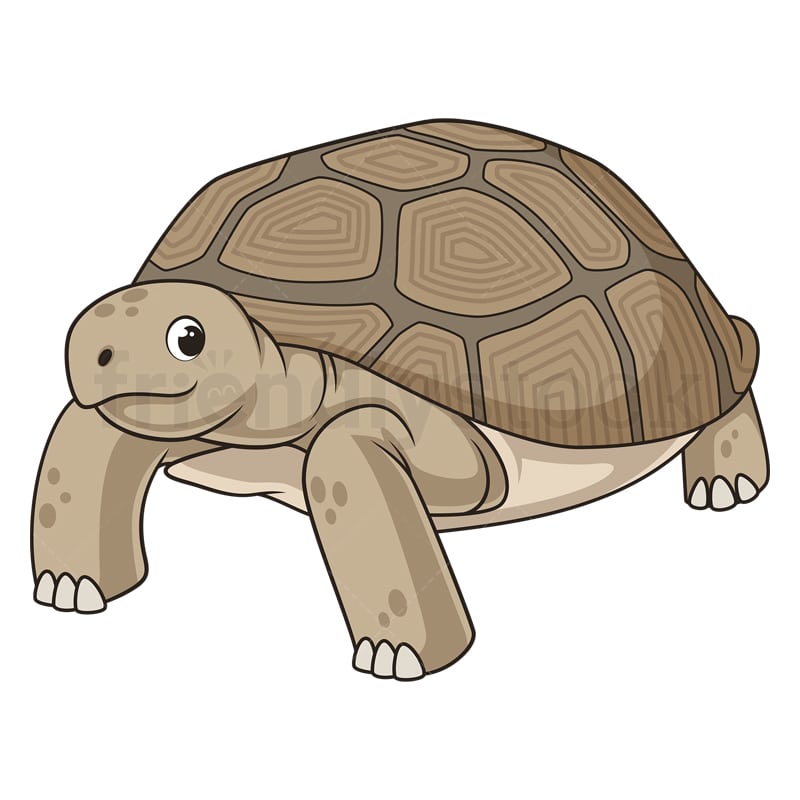 clip art tortoise
