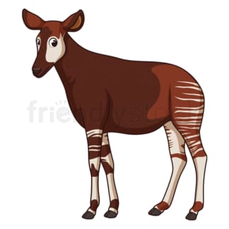 Cartoon okapi safari animal. PNG - JPG and vector EPS file formats (infinitely scalable). Image isolated on transparent background.