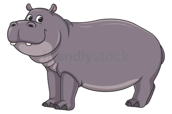 Cartoon hippopotamus standing. PNG - JPG and vector EPS file formats (infinitely scalable). Image isolated on transparent background.