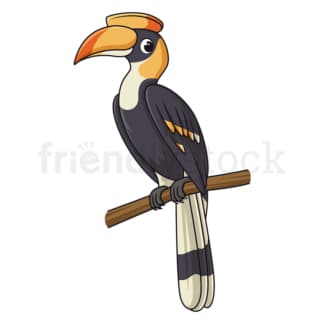 Cartoon hornbill bird. PNG - JPG and vector EPS file formats (infinitely scalable). Image isolated on transparent background.