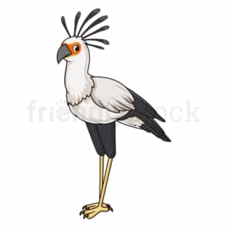 Cartoon secretary bird. PNG - JPG and vector EPS file formats (infinitely scalable). Image isolated on transparent background.