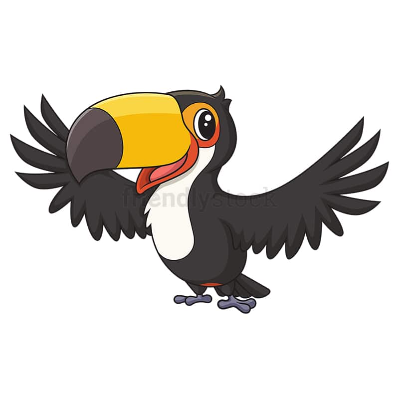 Happy toucan bird. PNG - JPG and vector EPS (infinitely scalable).