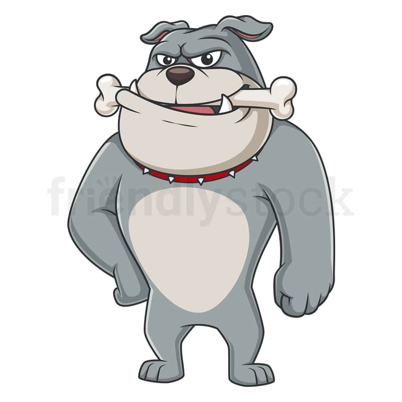 Bulldog character chewing bone. PNG - JPG and vector EPS (infinitely scalable).
